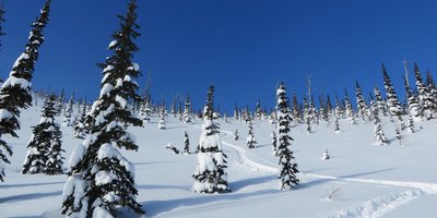 Castle Mountain Resort
