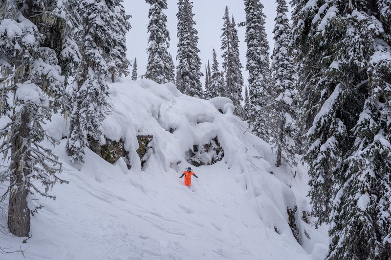 Revy Line Landing